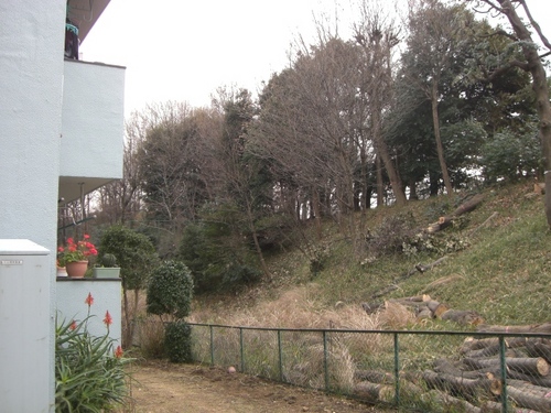 http://www.e-giin.net/_public/get_image.php?image_no=558&element_type=4&id=minegishi