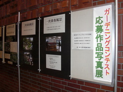 http://www.e-giin.net/_public/get_image.php?image_no=2513&element_type=2&id=minegishi