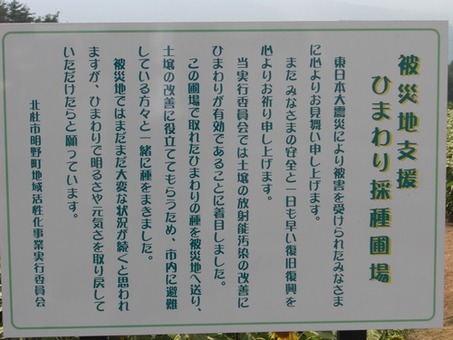 http://www.e-giin.net/_public/get_image.php?image_no=2605&element_type=4&id=minegishi